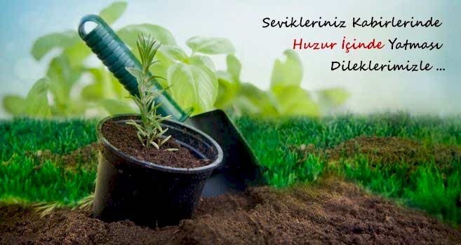 Mezarlık Yeşillendirme ve Bakımları