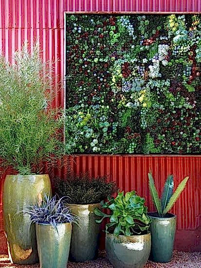 Dikey Bahçe & Yeşil Çatı