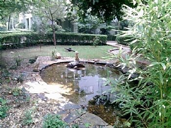 Biyolojik Göller ve Havuzlar