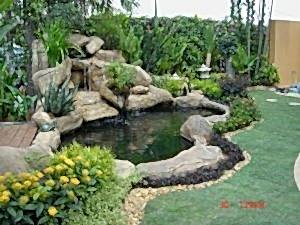 Biyolojik Göller ve Havuzlar