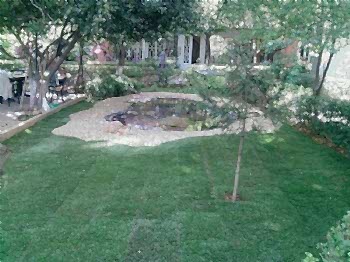 Biyolojik Göller ve Havuzlar