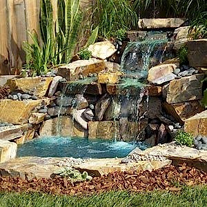 Biyolojik Göller ve Havuzlar