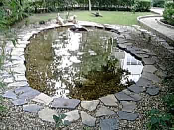 Biyolojik Göller ve Havuzlar