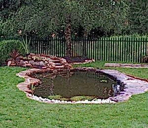 Biyolojik Göller ve Havuzlar