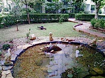 Biyolojik Göller ve Havuzlar