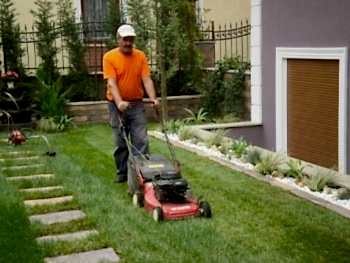 Bahçe Bakım Hizmeti