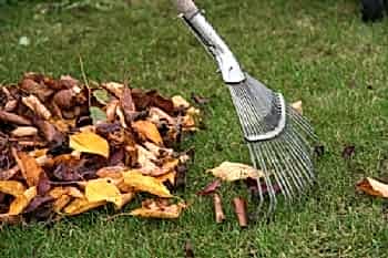 Bahçe Bakım Hizmeti