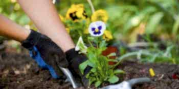 Bahçe Bakım Hizmeti