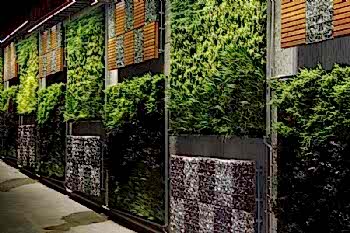 Peyzaj Tasarım Uygulamaları