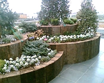 Peyzaj Tasarım Uygulamaları