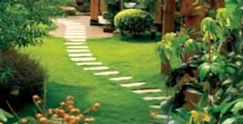 Peyzaj Tasarım Uygulamaları