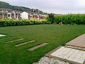 Peyzaj Tasarım Uygulamaları