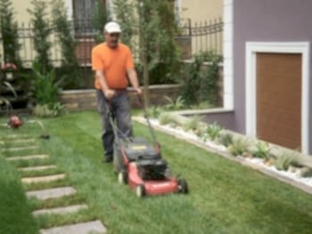 Peyzaj Tasarım Uygulamaları