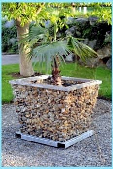 Peyzaj Tasarım Uygulamaları