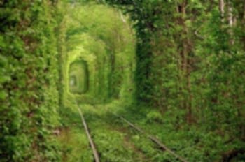 Peyzaj Tasarım Uygulamaları