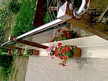 Peyzaj Tasarım Uygulamaları