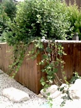 Peyzaj Tasarım Uygulamaları