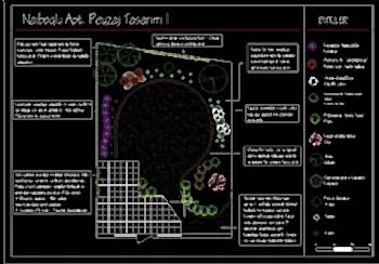 Peyzaj Proje & Planlama Hizmetleri