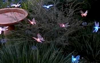 Bahçe Aydınlatma Sistemleri