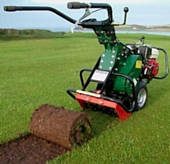 Hazır Rulo Çim Uygulama ve Bakım