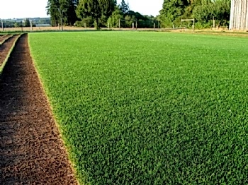 Hazır Rulo Çim Uygulama ve Bakım