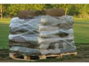 Hazır Rulo Çim Uygulama ve Bakım