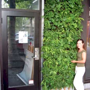 Dikey Bahçe & Yeşil Çatı